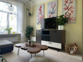 Sunny 1 Br Apt in Center Next to Park